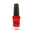 SALLY HANSEN Salon Nail Lacquer 4120