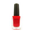 SALLY HANSEN Salon Nail Lacquer 4120
